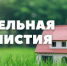 О земельной амнистии - Майминский район